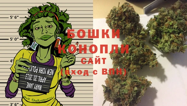 индика Горно-Алтайск