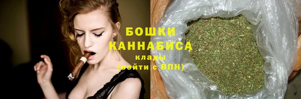 индика Горно-Алтайск