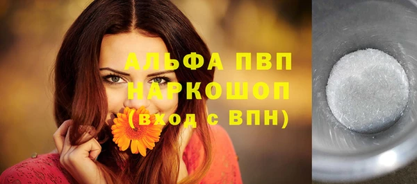 индика Горно-Алтайск