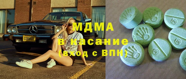 индика Горно-Алтайск