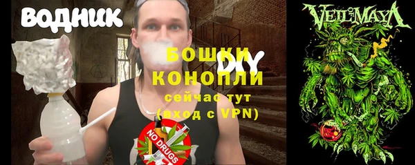 индика Горно-Алтайск
