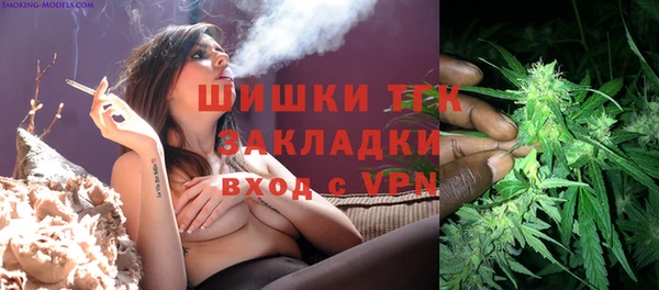 2c-b Горняк