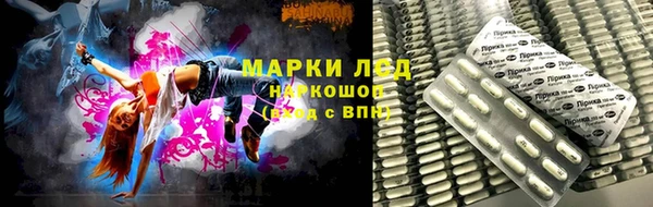 индика Горно-Алтайск