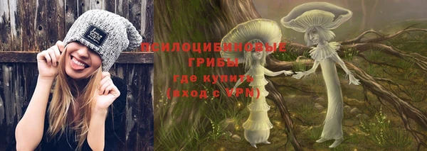 индика Горно-Алтайск