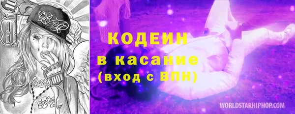 индика Горно-Алтайск