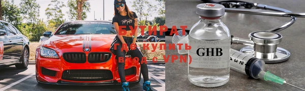 индика Горно-Алтайск