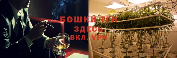 2c-b Горняк