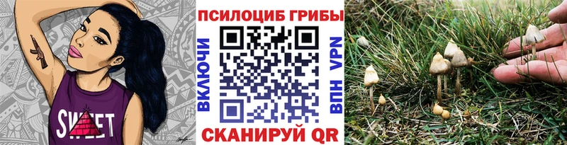 Псилоцибиновые грибы GOLDEN TEACHER  Купить закладки  Никольск 
